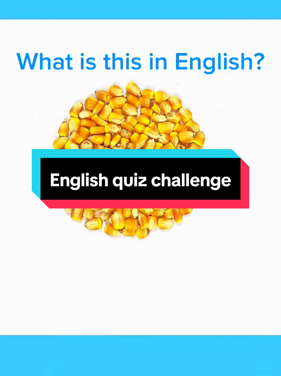 English quiz challenge #englishquiz #quizchallenge #quiztime #makeitviral #fyp #learnenglish #seeds 