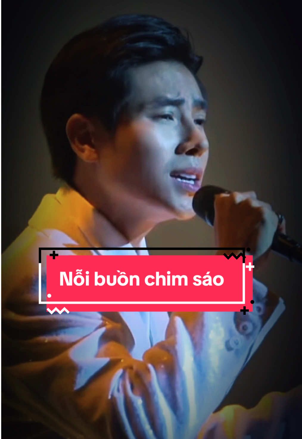 Nỗi Buồn Chim Sáo [Đinh Trầm Ca & Huỳnh Ngọc Đông] - Jack Long #8xmusic #jacklong 