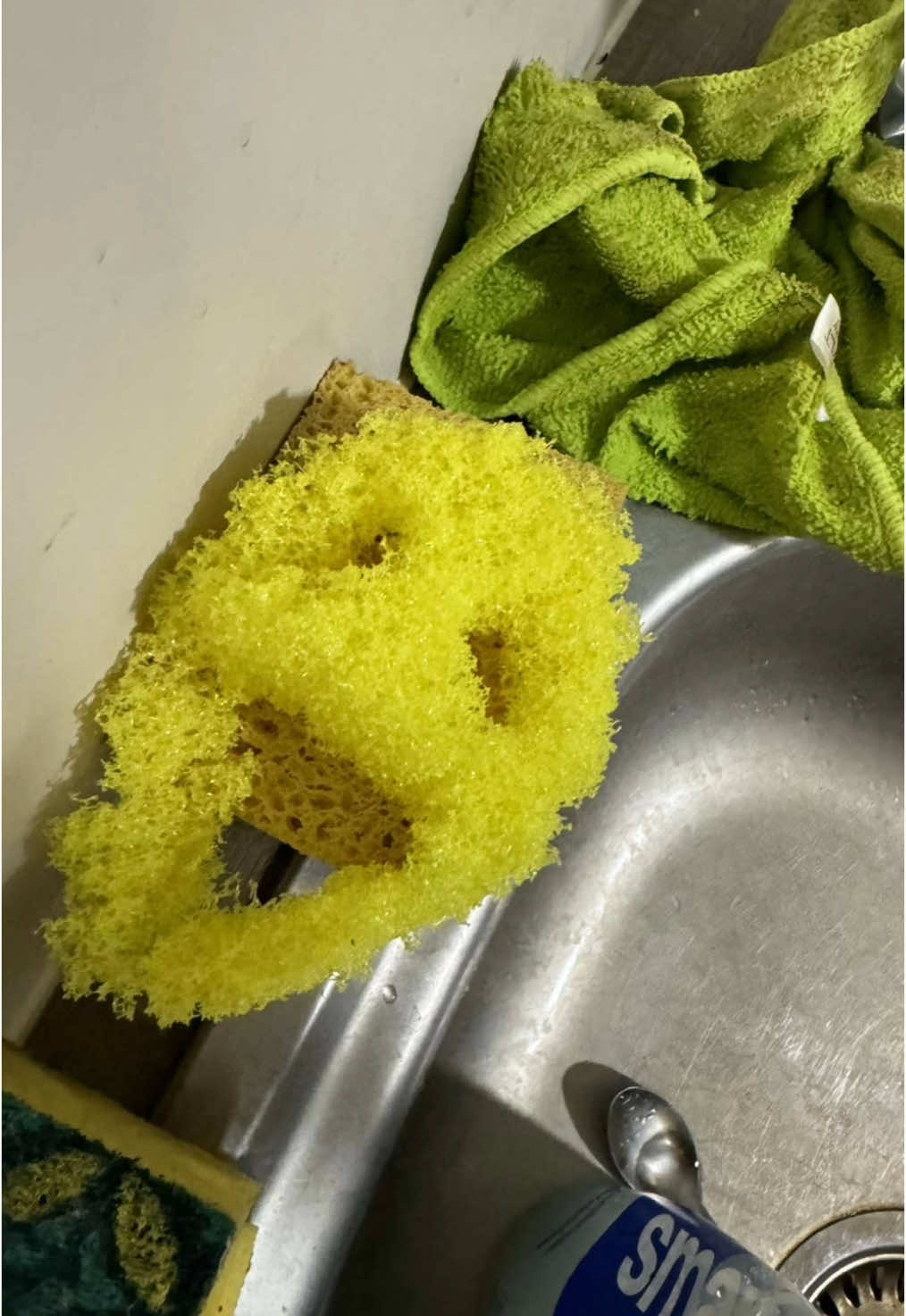 Daddy said he liked it rough #fyp #scrubdaddy #uni #unistudent #student #wuhluhwuh #wlw 