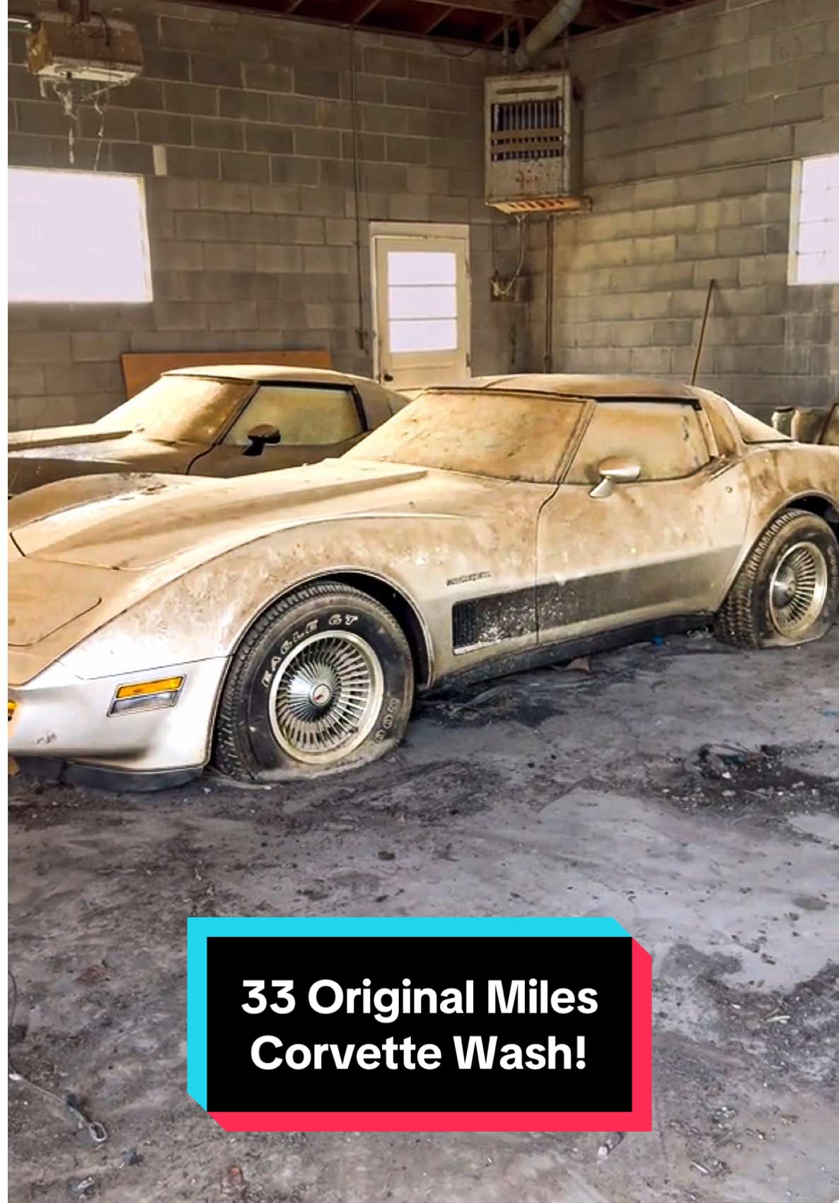 33 Original Miles Corvette First Wash in 42 Years! #wddetailing #detailing #carwash #carcleaning #satisfying #satisfyingvideos #barnfind #fyp #abandoned #cardetailing #pressurewashing #asmr #trending #trend #corvette 