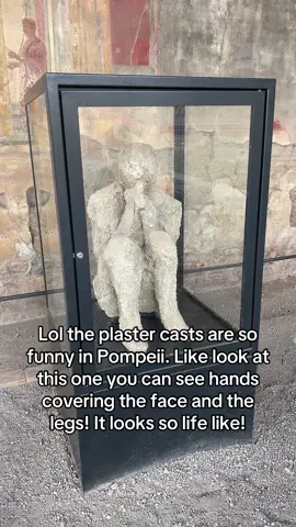 Pompeii is an ancient city which will stay with me forever. Archaeology is the story of real people and just because there are basically no bones left doesn’t mean their story isn’t worth being told #archaeology #archaeologist #archaeologytiktok #history #historytok #learnontiktok #academictiktok #bonetok 