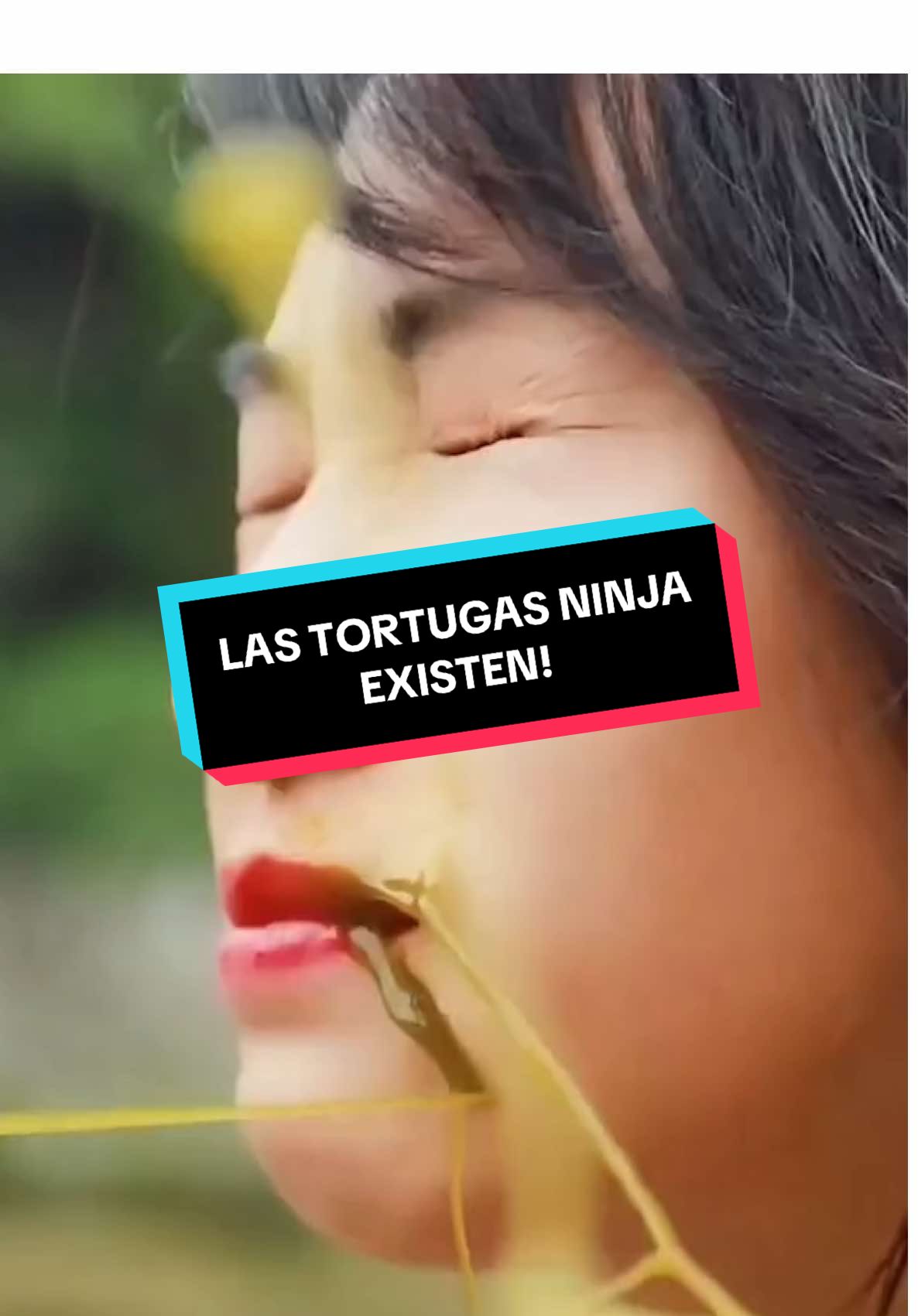 Las tortugas ninjas existen y este video lo demuestra!