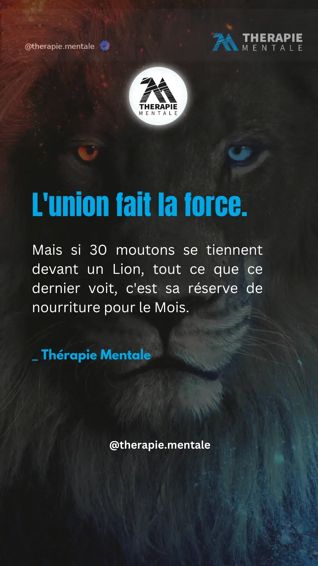 👇 EXPLICATION DE LA MÉTAPHORE 👇. L’union fait la force, mais si 30 moutons se tiennent devant un lion, tout ce que voit ce dernier, c’est sa réserve de nourriture pour le mois.  Cette citation qui nous rappelle que même si l’union et la coopération sont importantes, il est essentiel de comprendre les défis auxquels nous faisons face. Les moutons représentent des personnes qui peuvent sembler nombreuses et fortes ensemble, mais face à un prédateur comme le lion, leur nombre ne les protège pas.  Cela illustre l’idée que dans la vie, il ne suffit pas d’être nombreux ou de travailler en groupe ; il faut aussi avoir une stratégie et être conscient des dangers. D’un autre côté, si vous êtes un lion, cela signifie que vous avez confiance en vos capacités et que vous n’avez pas à paniquer devant un grand nombre d’adversaires.   #motivation #tiktokmotivation 