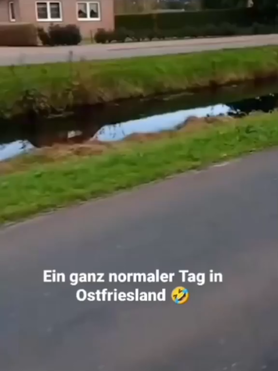 Hier nochmal eine kleine Erinnerung an das Wiekenschwein 😅# #dorf #landleben #niedersachsen #dorfkind #spaß #lustig #norddeutschland #deutschland #fyp #landleben #ostfriesland #ostfriese #viral #schwein #rhauderfehn #landkreisleer 