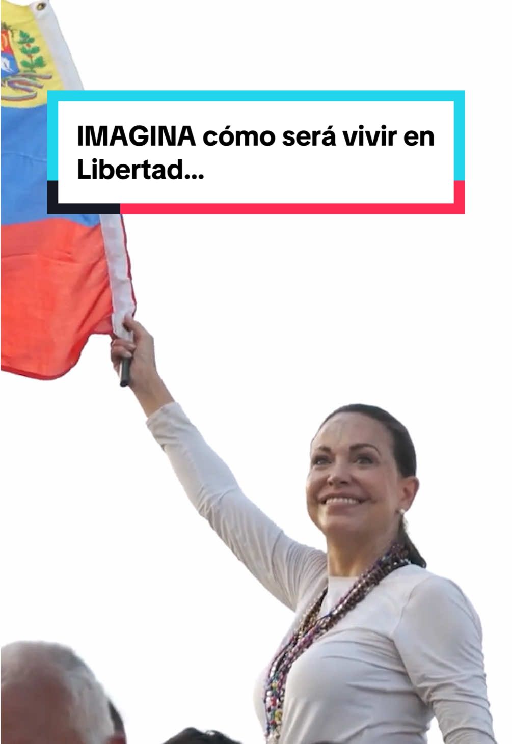 IMAGINA cómo será vivir en Libertad… Esto será realidad porque cada uno hará su tarea; TODOS JUNTOS!! Llegó la hora de actuar.  Nos vemos en las calles de toda Venezuela y el mundo.