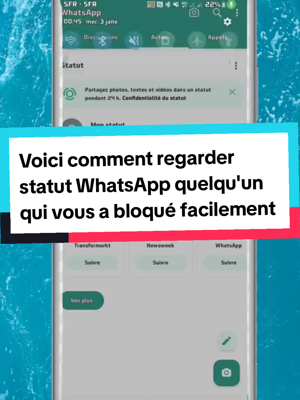 Voici comment regarder statut WhatsApp quelqu'un qui vous a bloqué facilement #videoriral #vues #sansasyonlanmou #samsungs23ultra #tik_tok #videoviral #tiktok #tips #techno #tiktokfrance🇨🇵 #france🇫🇷 #usa #formationtiktok #astucewhatsapp #views 