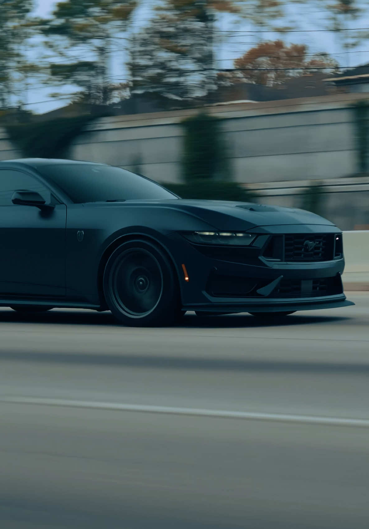 In The Shadows, I Rise 🦇 @SULAIMAN  #ford #fordmustang #mustang #mustangdarkhorse #darkhorse 