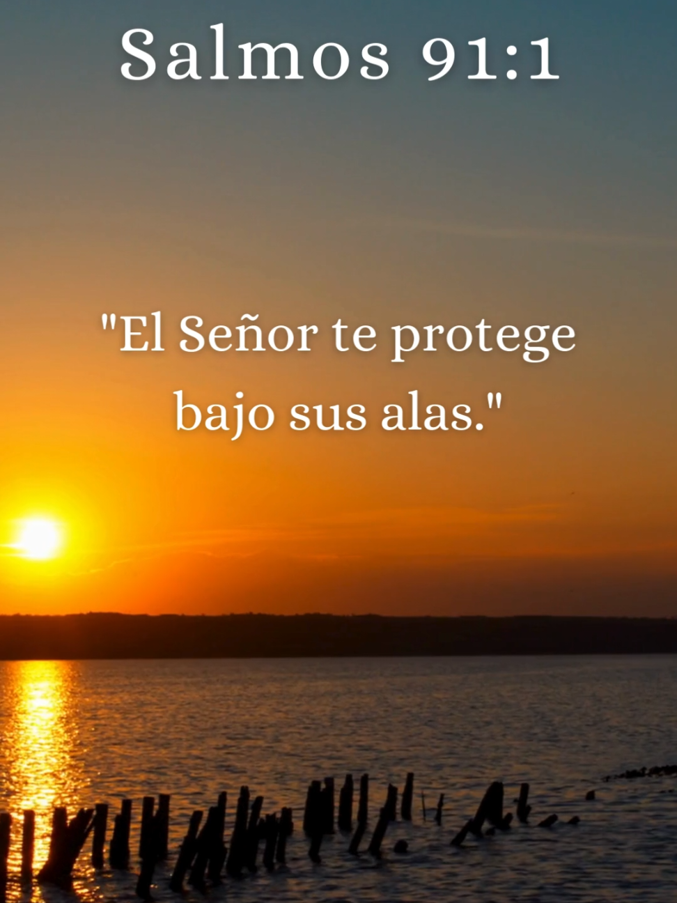 💬 Comenta 