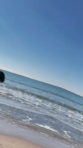 #CapCut #dengbejşakiro 