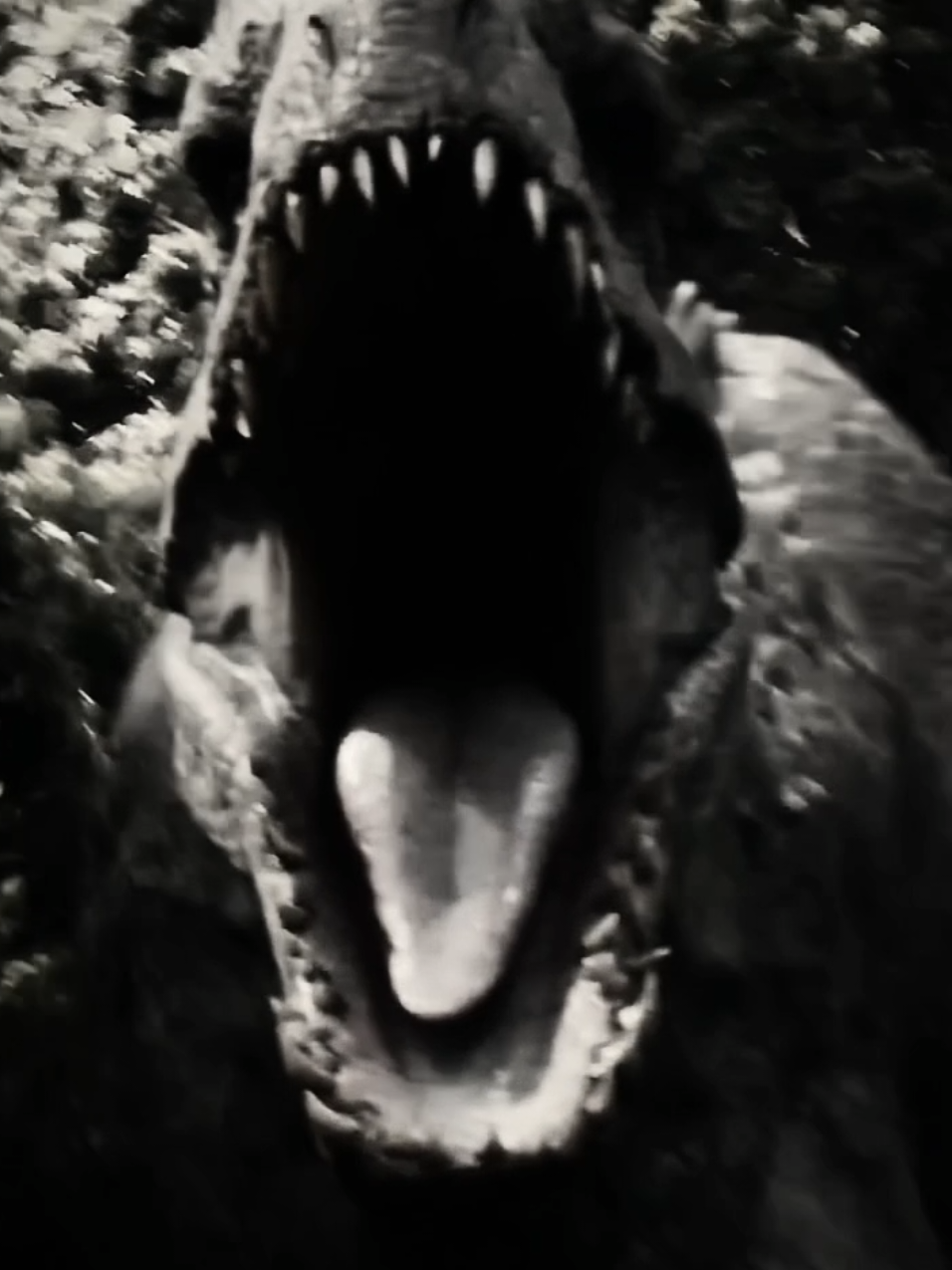 #indominusrex #jurassicworld #edit #4k #fyp #goviral 