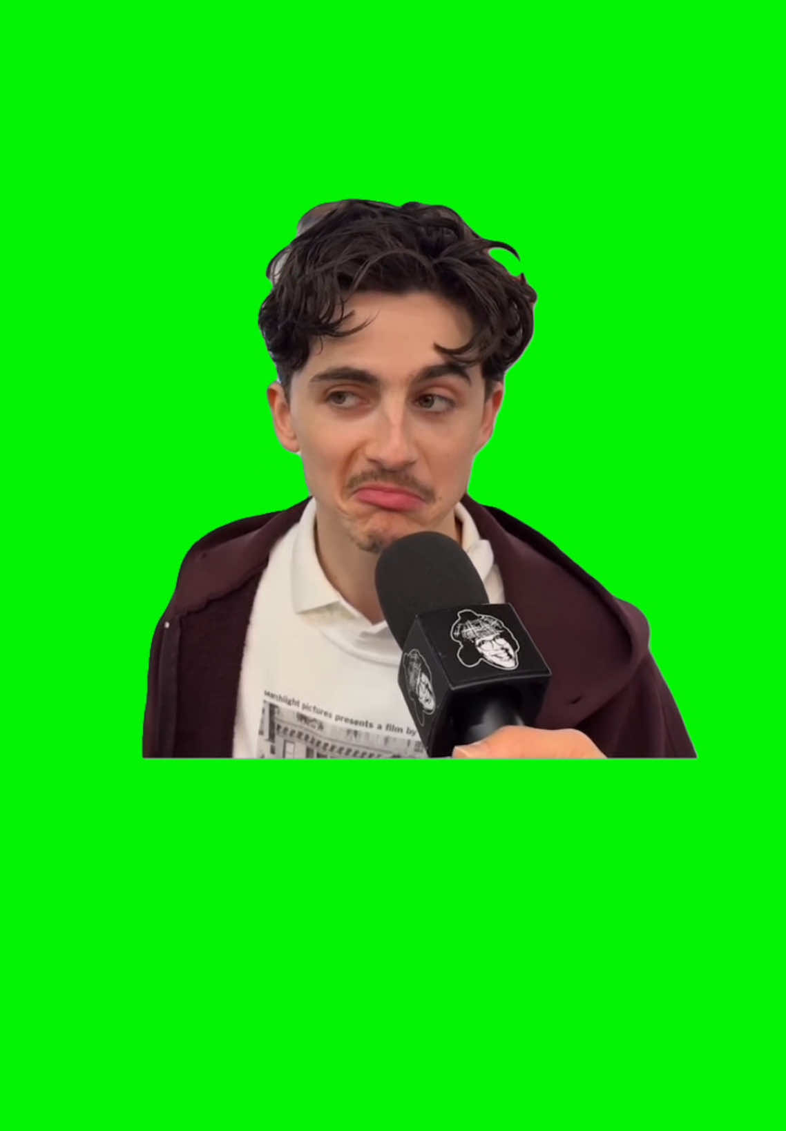 Timothée Chalamet Frown | Green Screen #timotheechalamet #interview #nardwuar #frown #meme #viral #fyp #Meme #MemeCut #memenatal 