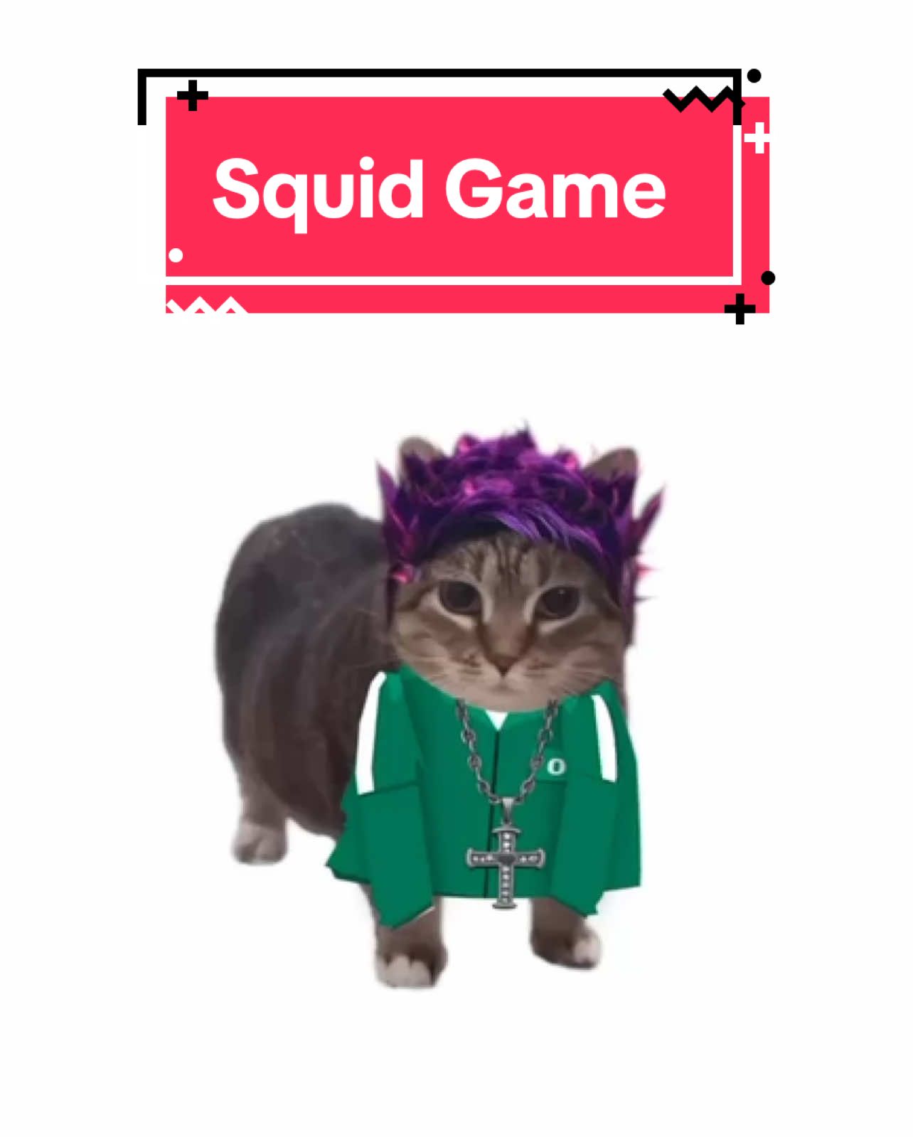 OIA cat takes part in Squid Game! #cats #catsoftiktok 