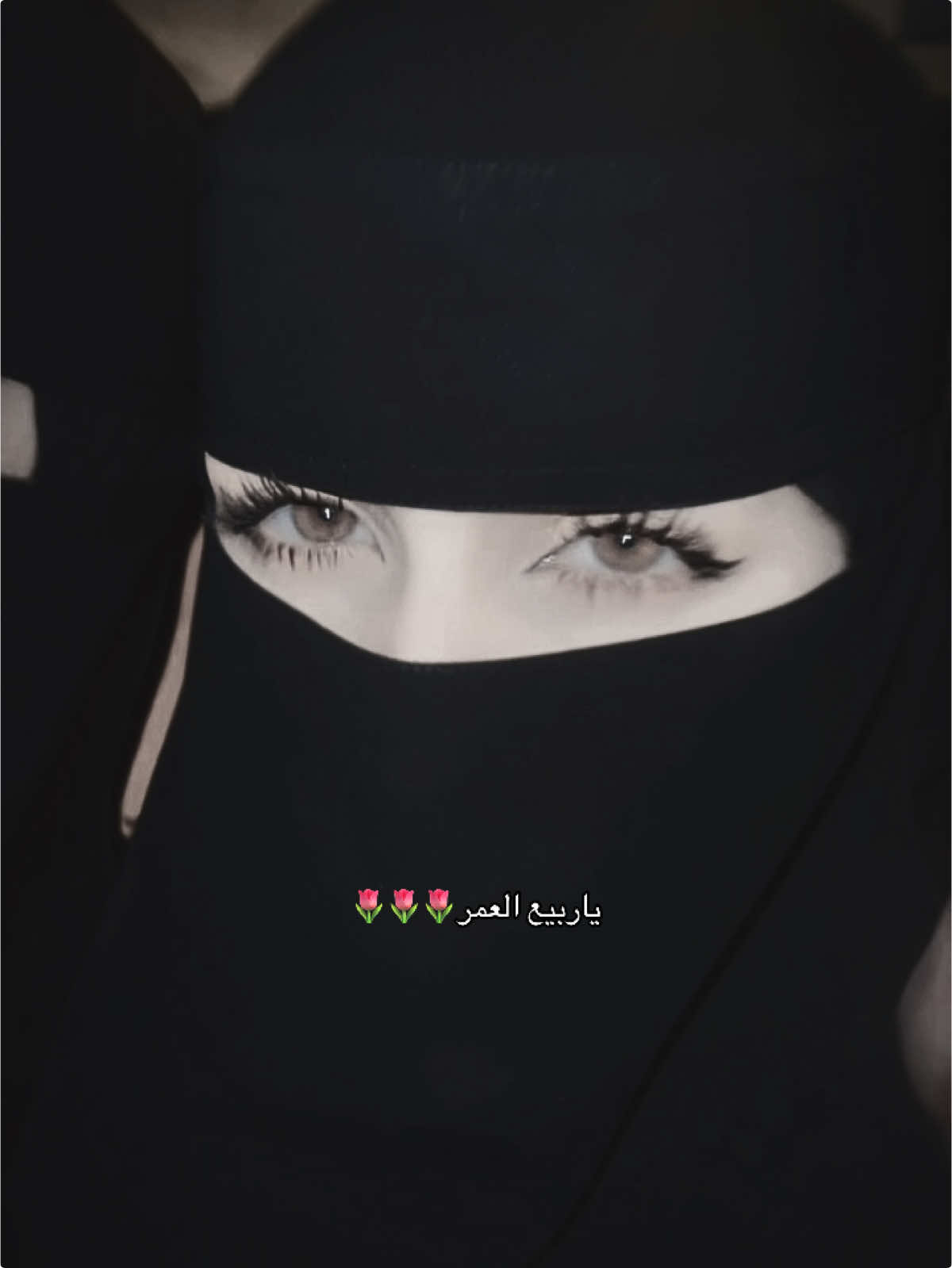 الشيلة غير قابلة للتخطي🌷🌷