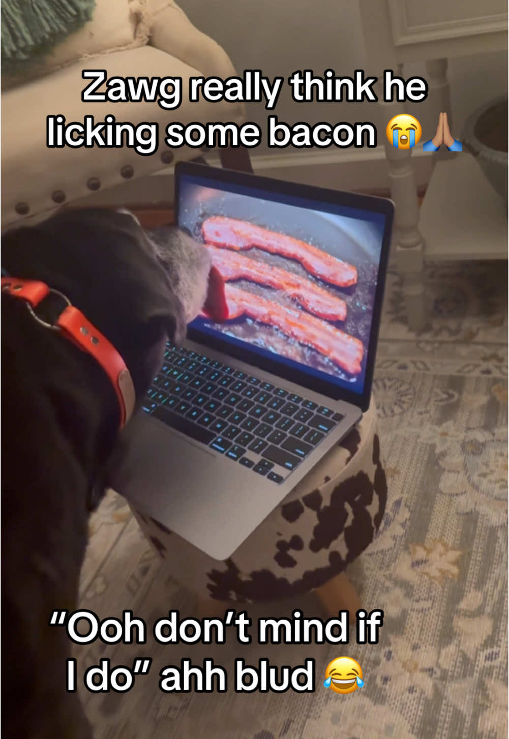 That is NOT real bacon Zawg 😭 #donpollo #meme #zawg #bills #billcollector #viral #fyp #blud #ohio 