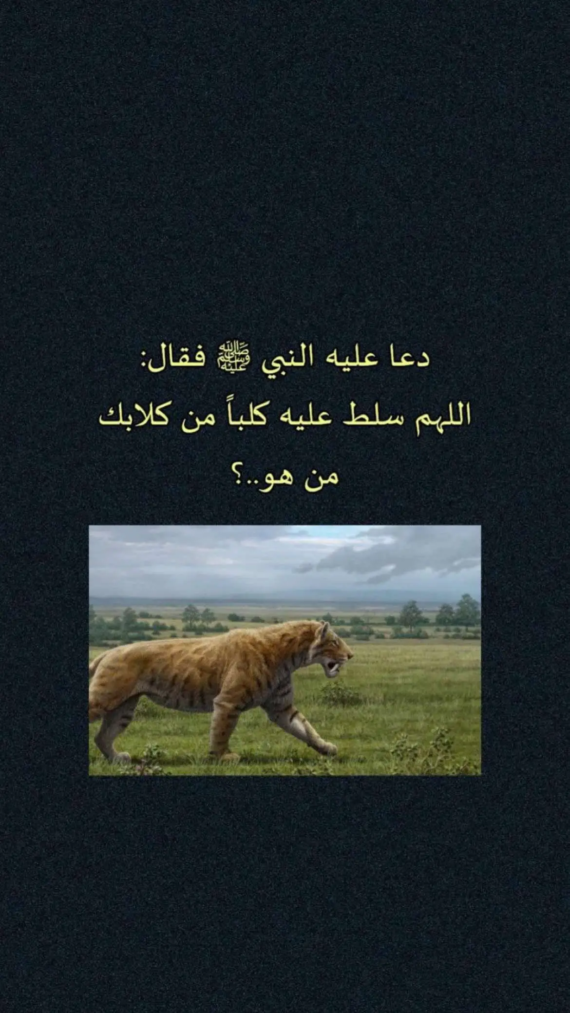 #اللهم_يا_مقلب_القلوب_ثبت_قلبي_على_دينك #اللهم_لاتزغ_قلوبنا_بعد_اذ_هديتنا #اللهم_صل_وسلم_على_نبينا_محمد 