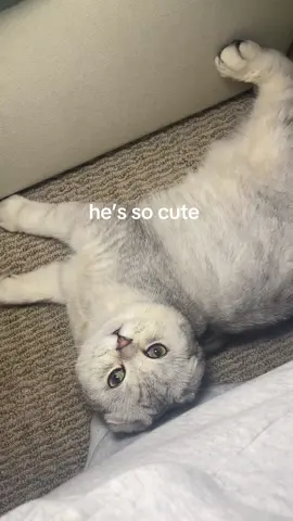 😭😭