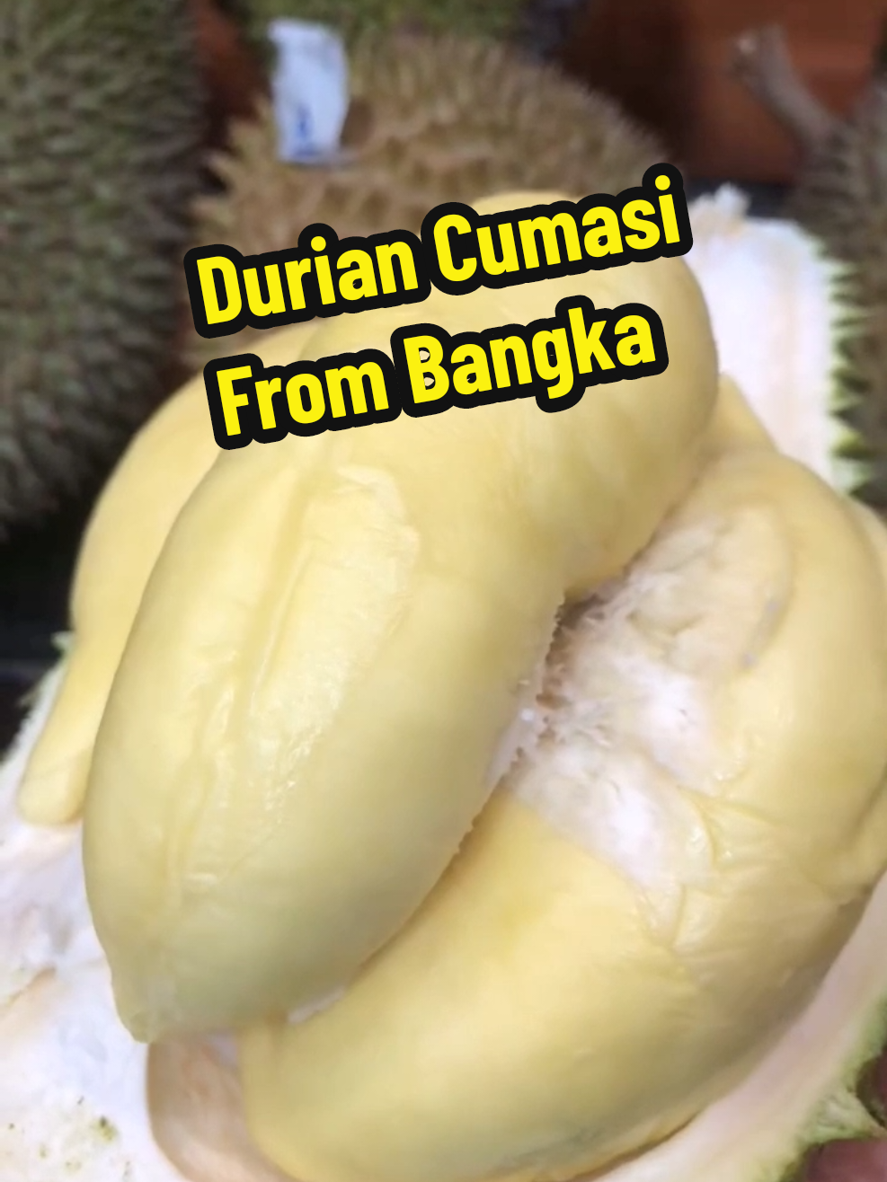 Durian Cumasi atau Namlung atau Tai Babi 😍😍 #cumasi #taibabi #namlung 