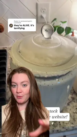 Replying to @senkaisstupid this starter is my testiment to success I swear #sourdough #sourdoughstarter #sourdoughbread #sourdoughtips #baking #bread #breadtok #evesourdoughstarter #eve 