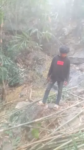 #standwithkashmir 