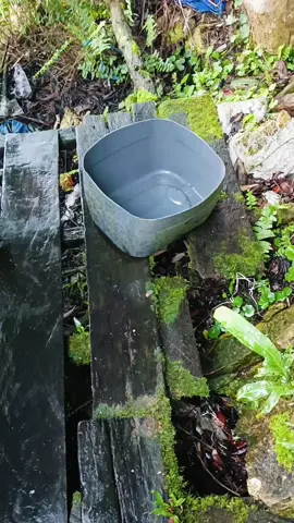 ini rumah tercinta kami kawan.ma,ap cuma gini keadaan nya🙏