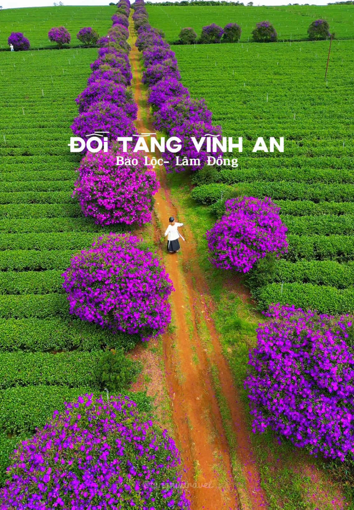 Những vẻ đẹp chỉ khi đến Bảo Lộc mới thấy được #travel #traveltiktok #dulichvietnam #travelvietnam #baoloc #lamdong 