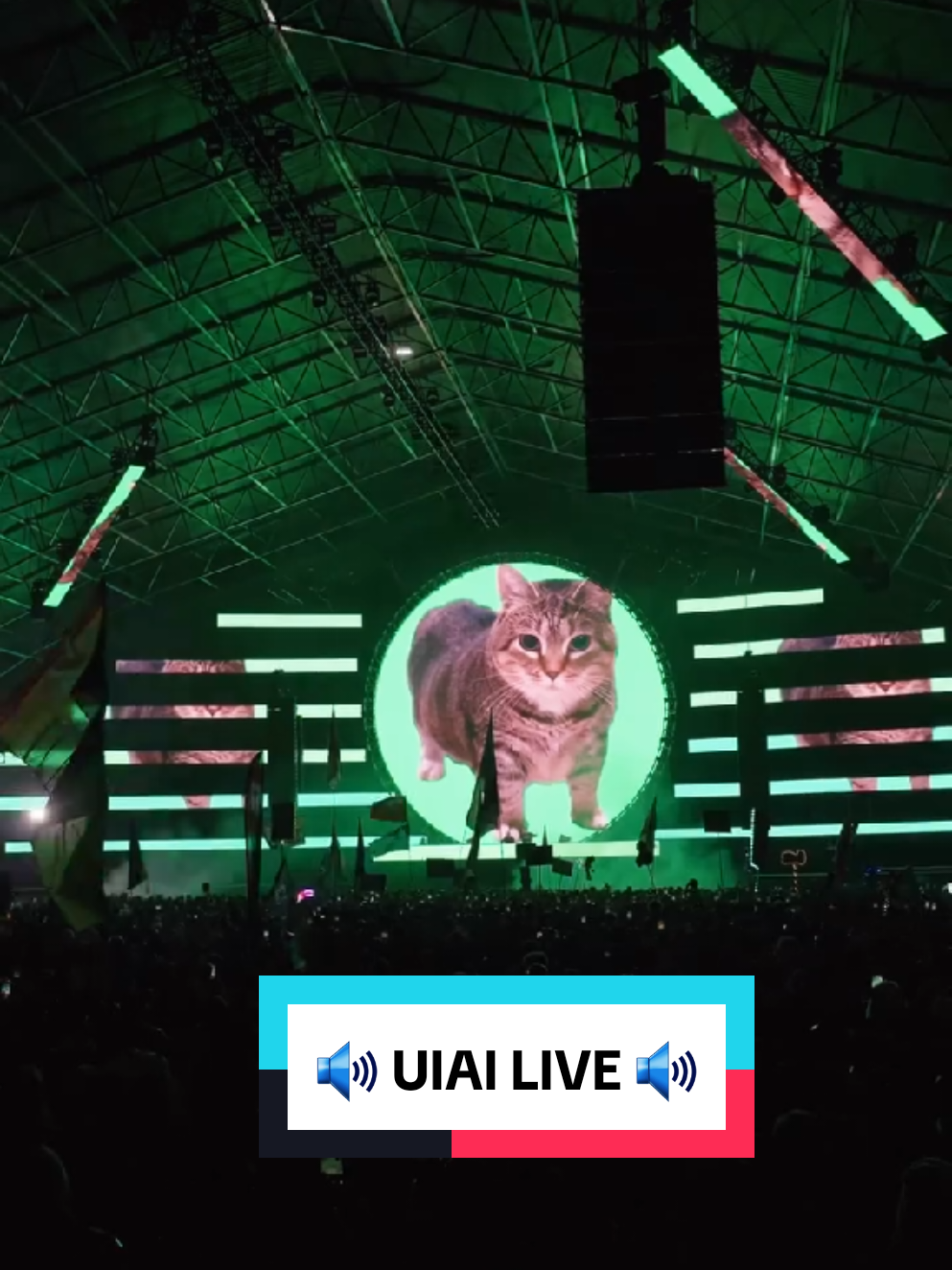 U II A I ≈ LIVE! 🔥😻🔊 #WANDW #oiiaiiooiiai #catmeme #liveonstage #DJ #live #ElectronicMusic #uiiaiouuiiaio #oia #oiacat #dropthatbeat #epic #banger #musicislife #technolovers #dontletthisflop #trending #viral #viralvideo #checkthisout #catsoftiktok #memesoftiktok #fyp #fypシ゚ #fypppppppppppppp #foryou #fyviral #fürdich #germany #xyzbca #onetoothpirate 