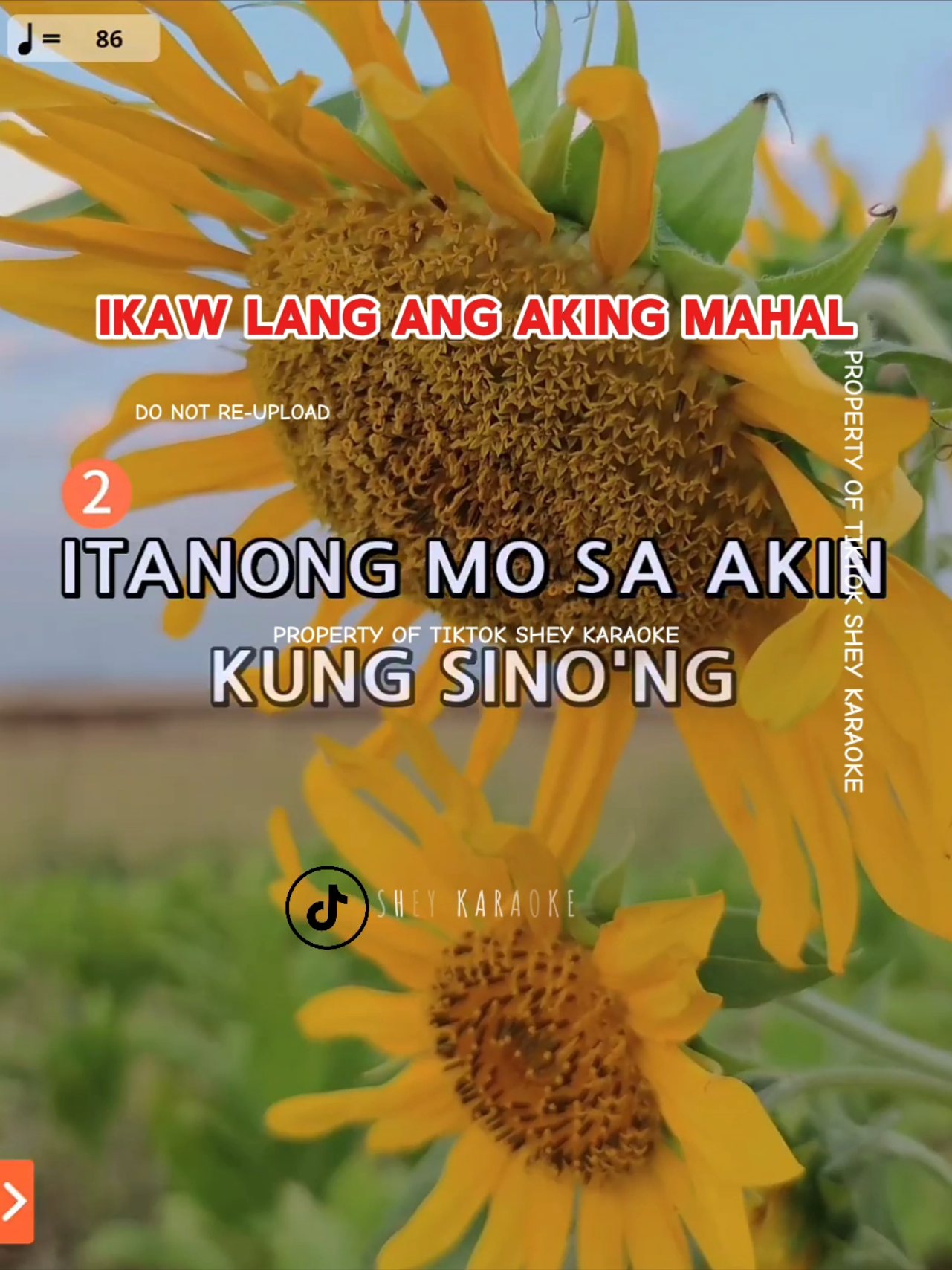 Ikaw Lang Ang Aking Mahal Karaoke Song with Lyrics #kantahan #lyrics #pinoytiktok #duet #karaokechallenge #karaoketiktok #karaoke 