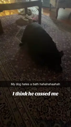 Why does my doggie hate a bath so much? Haha #fypシ #animals #animalsoftiktok #trendingvideo #viralvideo #FUNNY #dogs #dogsoftiktok 
