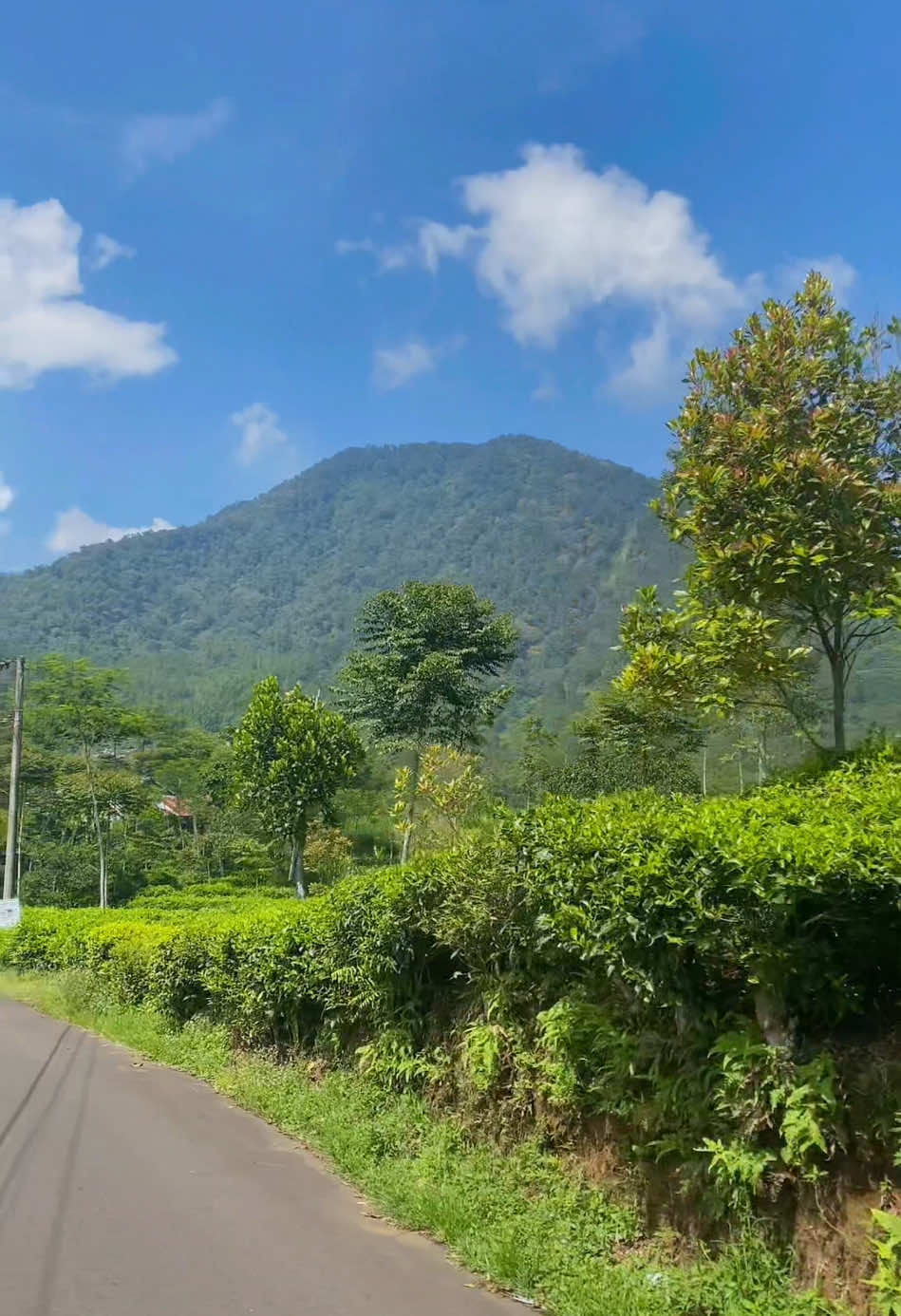 Desa yang sejuk di lereng pegunungan yang indah 🍃 📍Desa pacet, Reban, Batang #desaterindah #pemandanganalam #desapacet #batang 