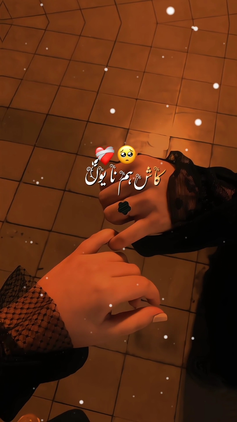 Sath Wo Humara Chahton Ki Laaj Hota |•• 🥺❤️‍🩹🌍😫🌸 |•• #song #romanticsong #foryoupage #dontunderview #fyp #viral_video 