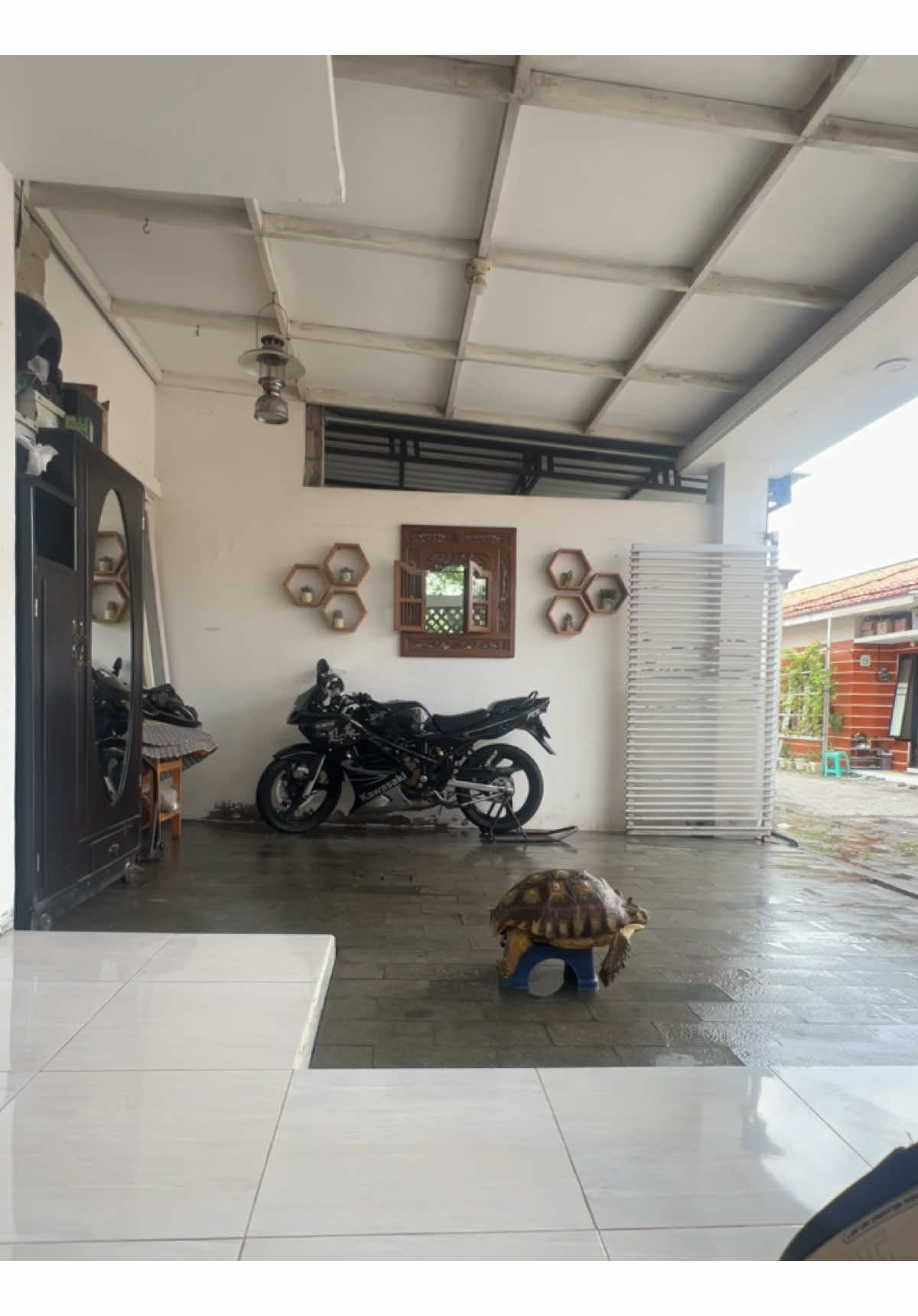 Habis mandi ku terus parkir 😅 #kawasakininja #ninjarr #mio #mio5tl #fizr #twostroke #sonic #holiday #sulcata #tortoise #kurakuraninja 