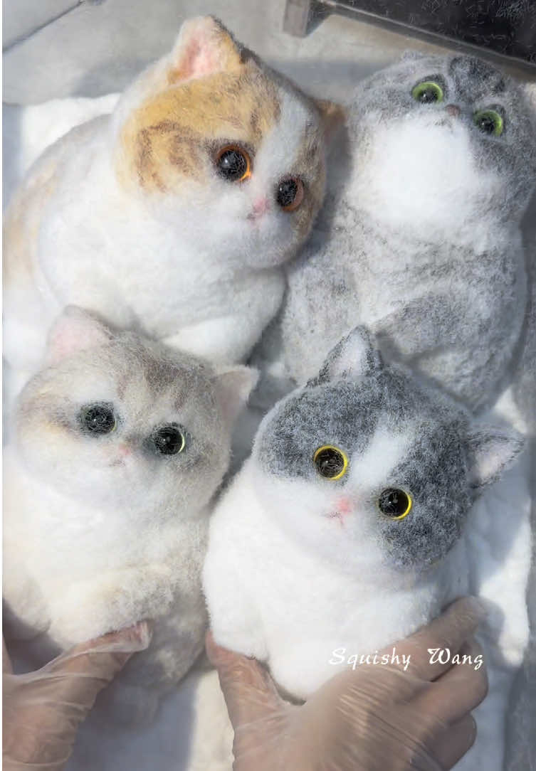 Fat cat family.#squishy #kitty #cat #DIY #puppy #art #ragdoll #custom #fy #handmade #foryou #painting #teddy #bird #craft 