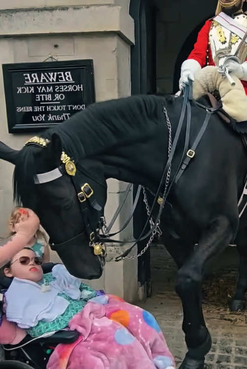 Heartwarming moment, the king's horse wants to wake the little girl #kingsguard #england #london #royalguard #tourist #respect #sweetmoments 