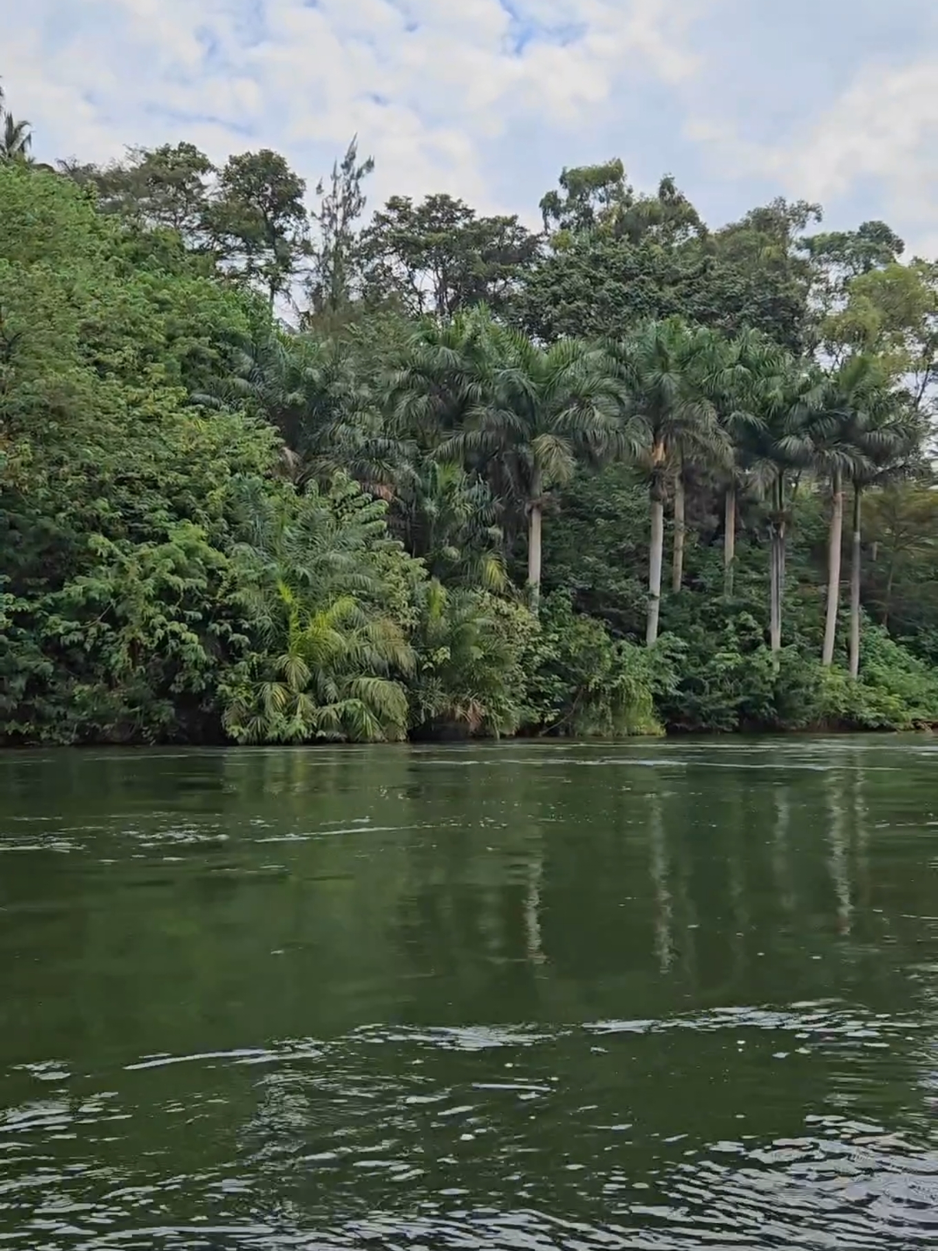 Somewhere on River Nile ✨️ ...... #jinja #travel #nileriver #explore #videography #photography #nature #uganda 