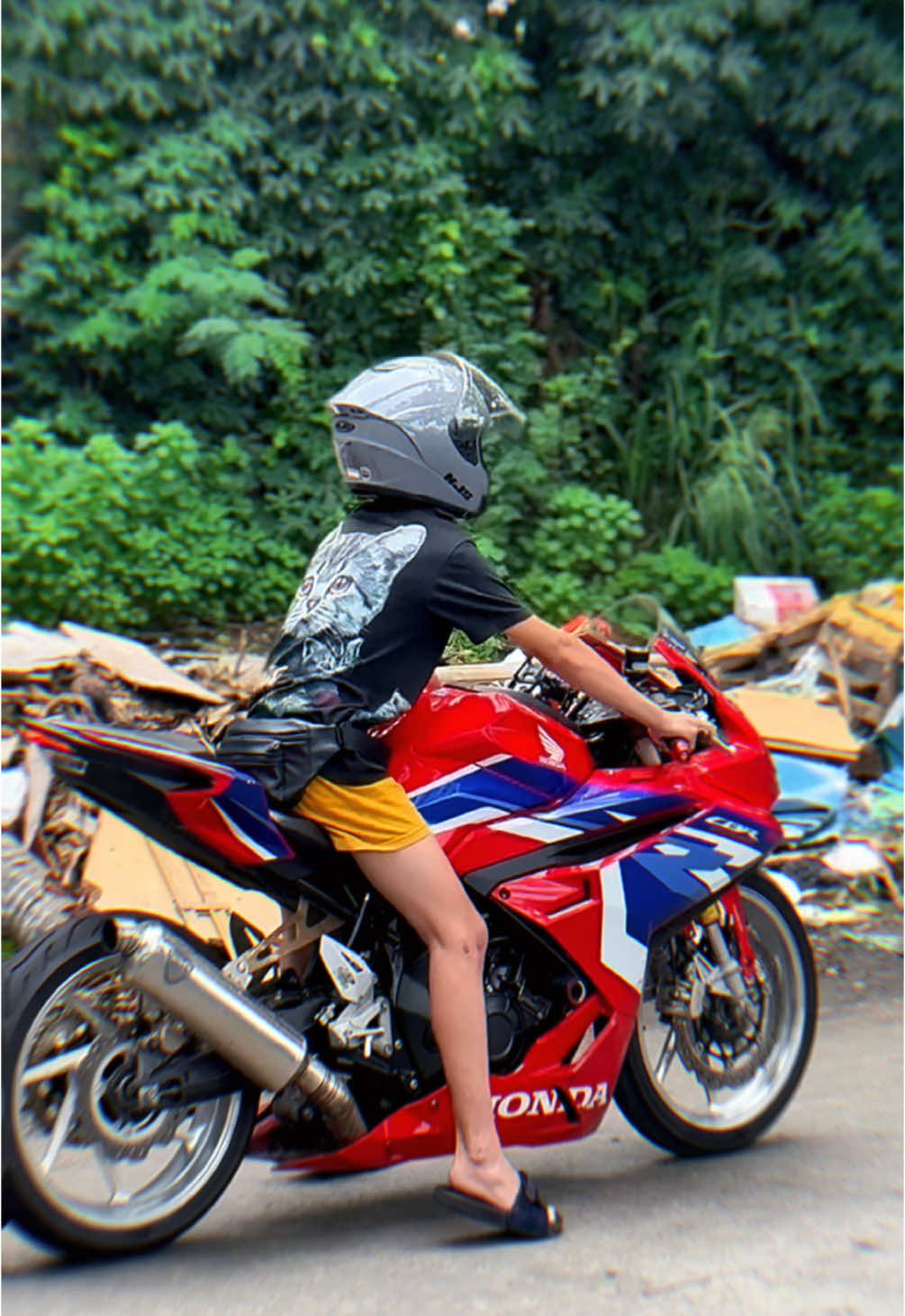 #CapCut #cbr250rr #fyp 