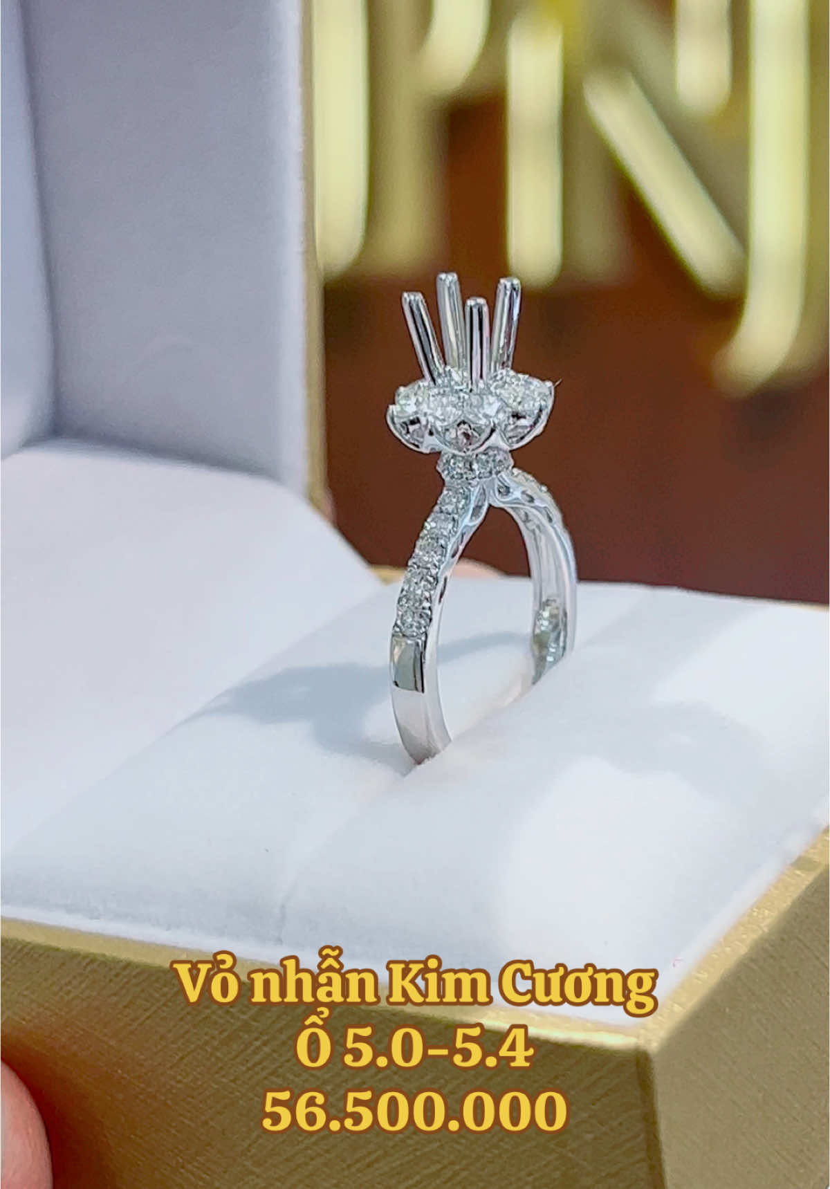 Vỏ nhẫn kim cương ổ 5.0-5.4li có sẵn tại @PNJ 86 Hùng Vương Long An  #PNJ #vỏnhẫnkimcương #Nhẫn #cầuhôn #goclamdep #Trangsuc 