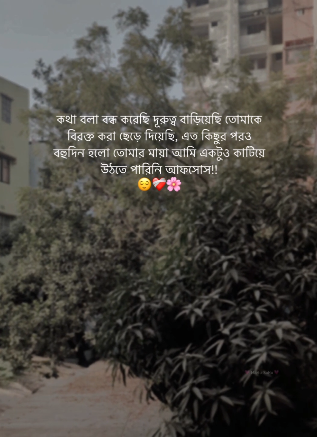 কথা বলা বন্ধ করেছি দূরুত্ব বাড়িয়েছি তোমাকে বিরক্ত করা ছেড়ে দিয়েছি, এত কিছুর পরও বহুদিন হলো তোমার মায়া আমি একটুও কাটিয়ে উঠতে পারিনি আফসোস!! 😌❤️‍🩹🌸 #foryou #foryoupage #fyb #caption #status #writer #mahu_sohu #viral #bdthiktok 