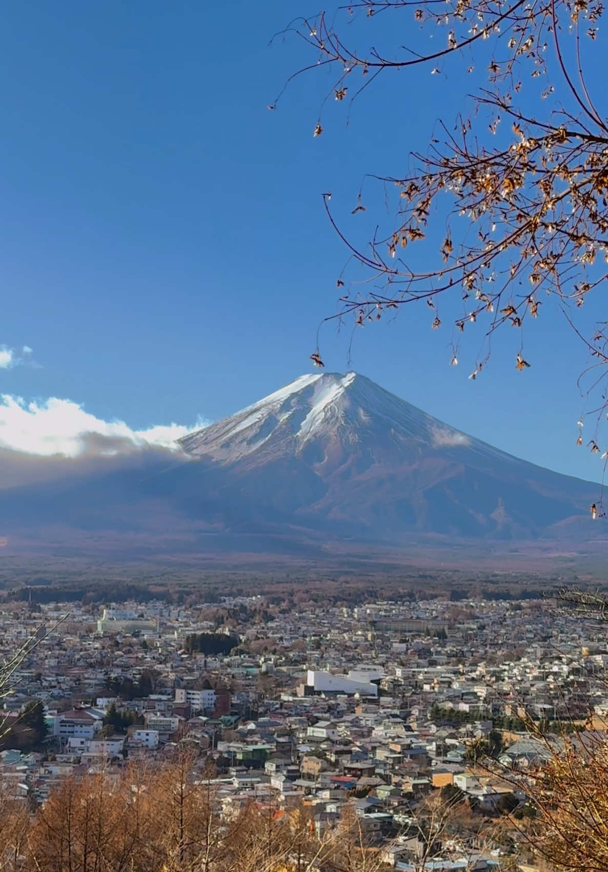 The view from Chureito Pagoda,Fujiyoshida😍⛩️🗻 #fuji #fujisan #富士山 #chureitopagoda🎌 #winter #wintervibes #winterishere #fujiyoshida #kawaguchiko #yamanashi #山梨 #winterbreak #snow #beautifuldestinations #onemillionaudition #vacation #japan #japanese #japantravel #tiktok #tiktokindia #tiktokjapan #tiktokusa #tiktokviral #tiktokuni #travel #traveltiktok #travelbucketlist #nature #trending #trendingvideo #trendingtiktok #trendingnow #viral #viraltiktok #viralvideo #fyp #fypシ #fypシ゚viral #foryou #foryoupage #foryourpage #follow #nihonvoyages #日本 #河口湖 #雪 #おすすめ #view #bestview #2025 #firsttrip #friends #friendsreunion #100k #1millionviews #Love #explore #explorepage #visit 