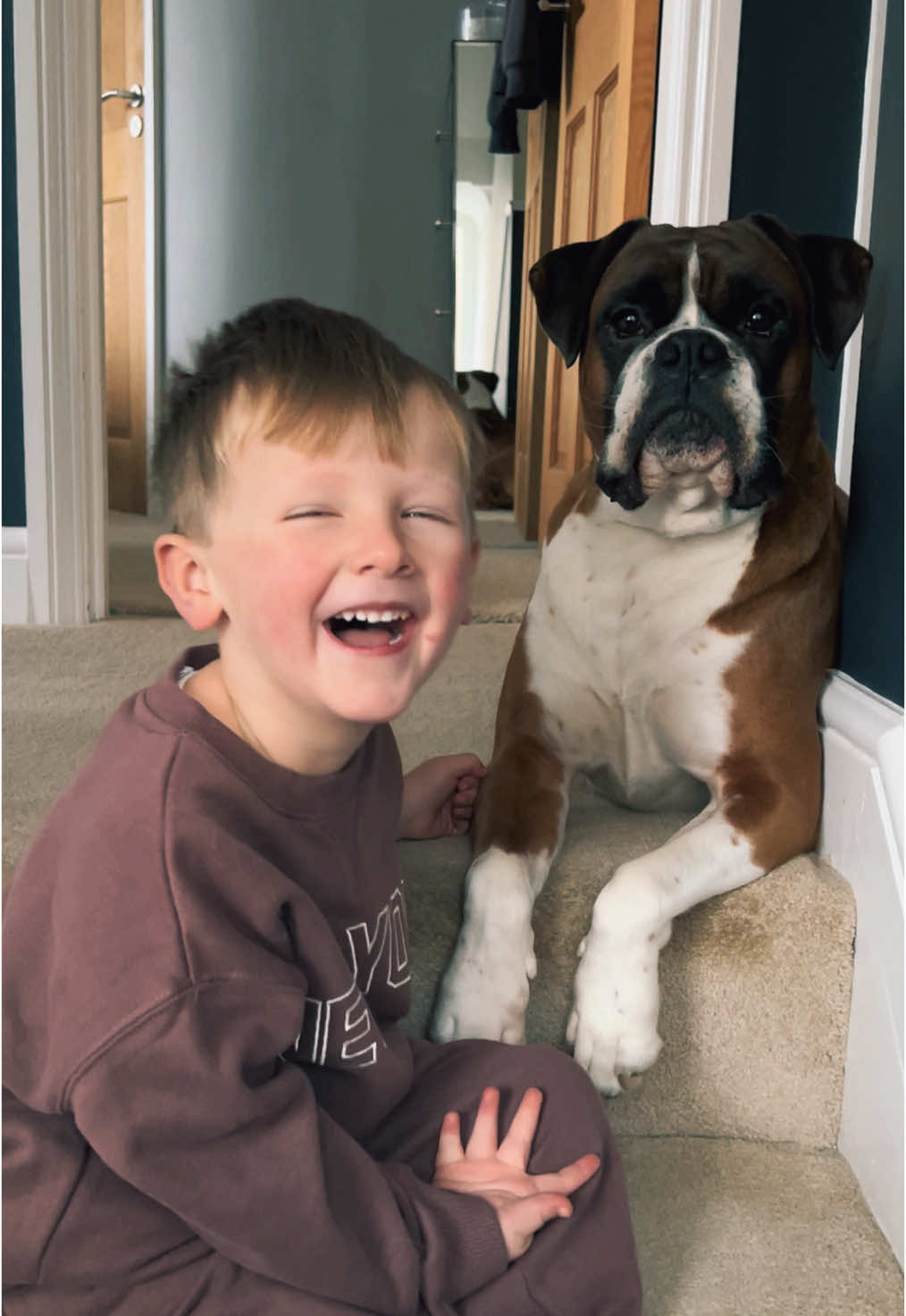 Boxerdog head tilts 👌🏽😭 #fyp #dogsoftiktok #foryoupage #boxerdog #boxerdogsoftiktok #dog #dogtok #funny 