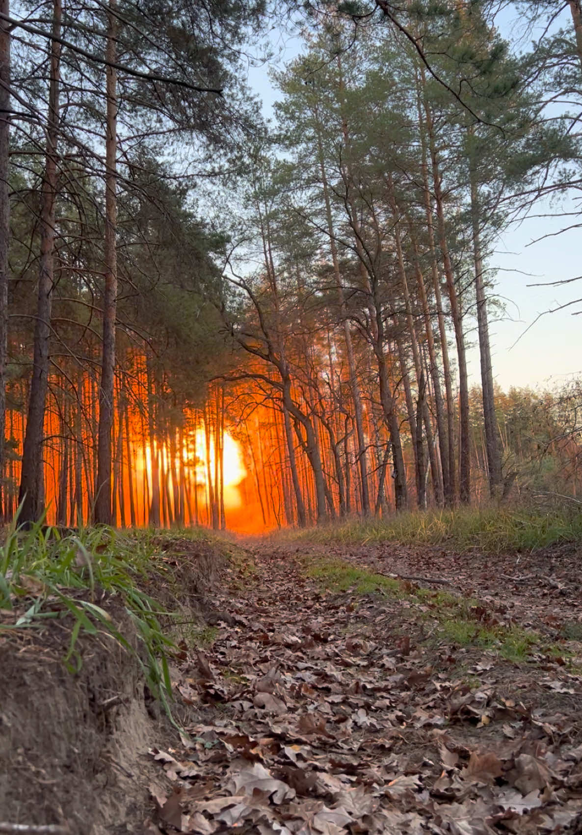 Controlled Demolition of some mines, once we had blown these it drew a lot of attention to Russian forces so we made a hasty exit before they located our position.  #warishell #ukraine #war #warzone #mine #uxo #eod 