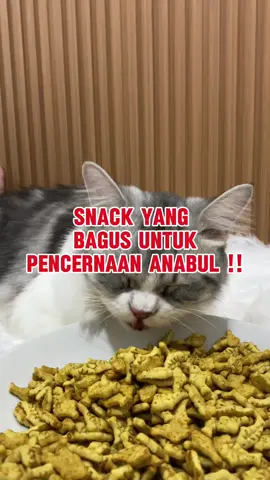 Snack yang bagus untuk pencernaan anabul !!!          #jelajahkuliner #fyp #catsoftiktok #gajiansale #wibgajian #fypシ #onlineshopping #snackkucing #TikTokAwardsID 