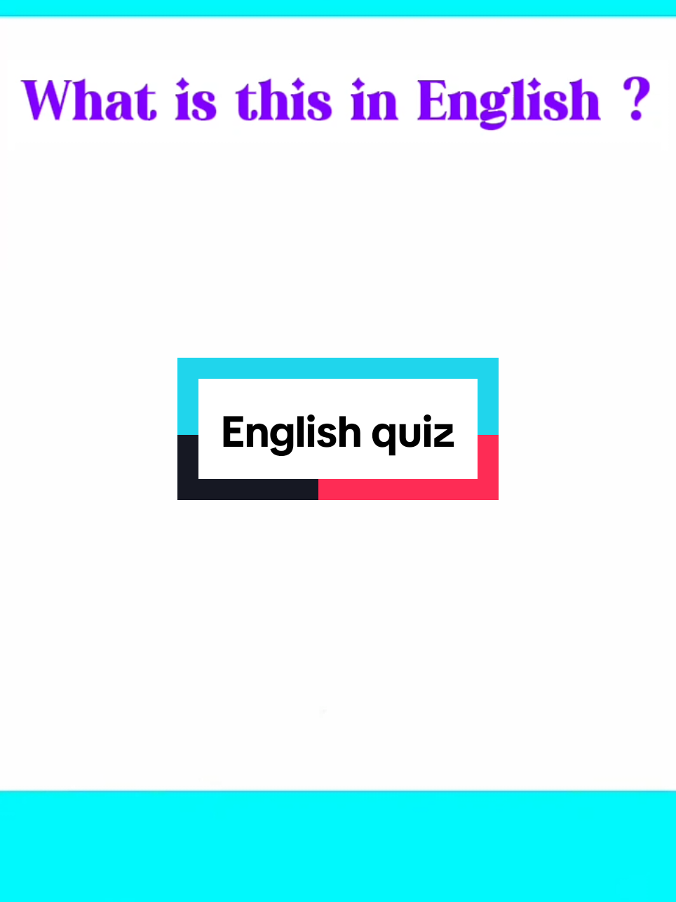 English quiz. can you name these in English. #englishquiz #learnenglish #fyp 