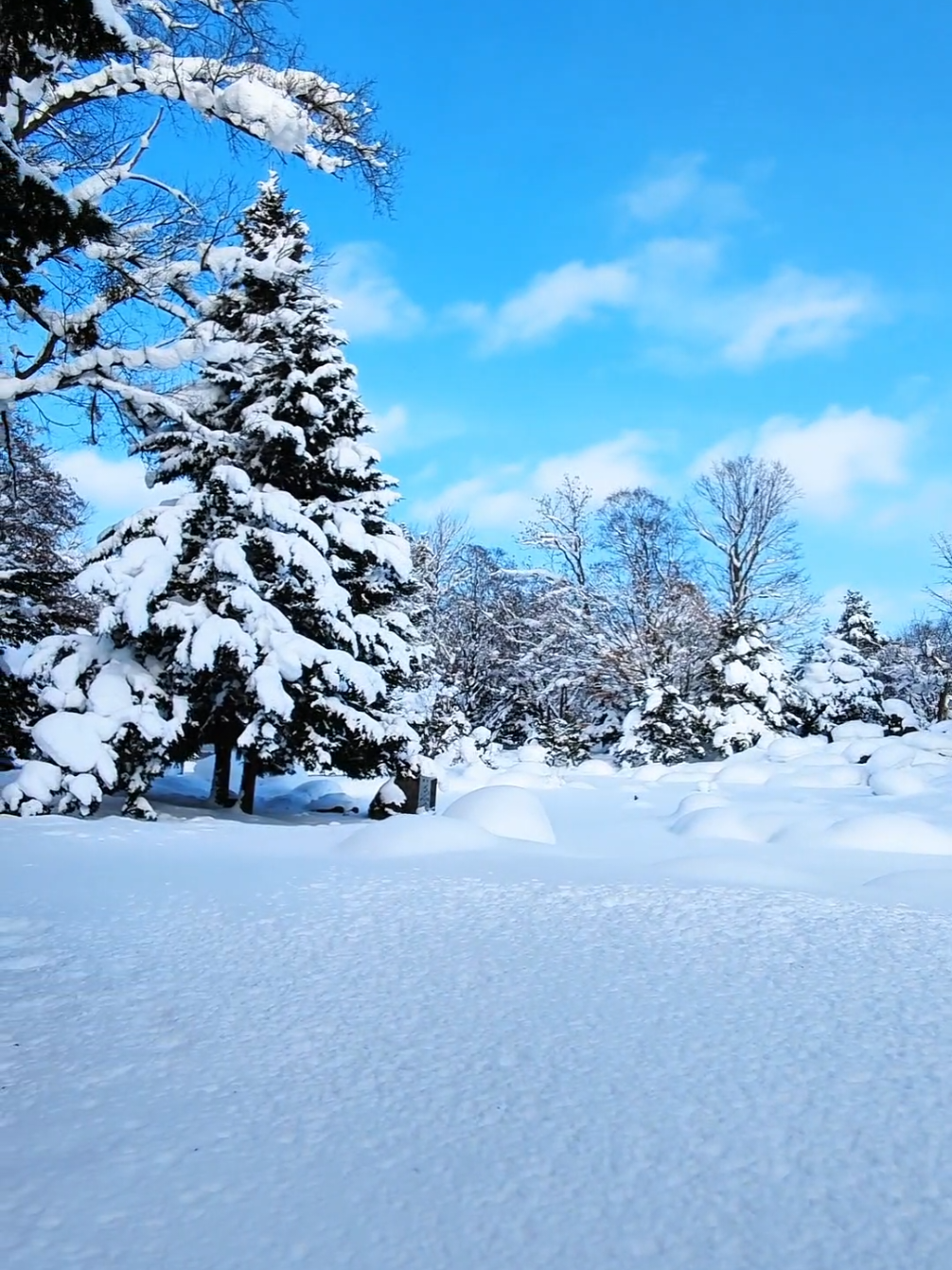 ☃️An amazing Snow day passed in Hokkaido, Japan🇯🇵☃️❄️❄️ #foryou #snow #viral #japan #japantiktok#japantravel #❄️#philippines🇵🇭tiktok #Hokkaido  @Heavenly Japan 🇯🇵 @Heavenly Japan 🇯🇵 @Heavenly Japan 🇯🇵 