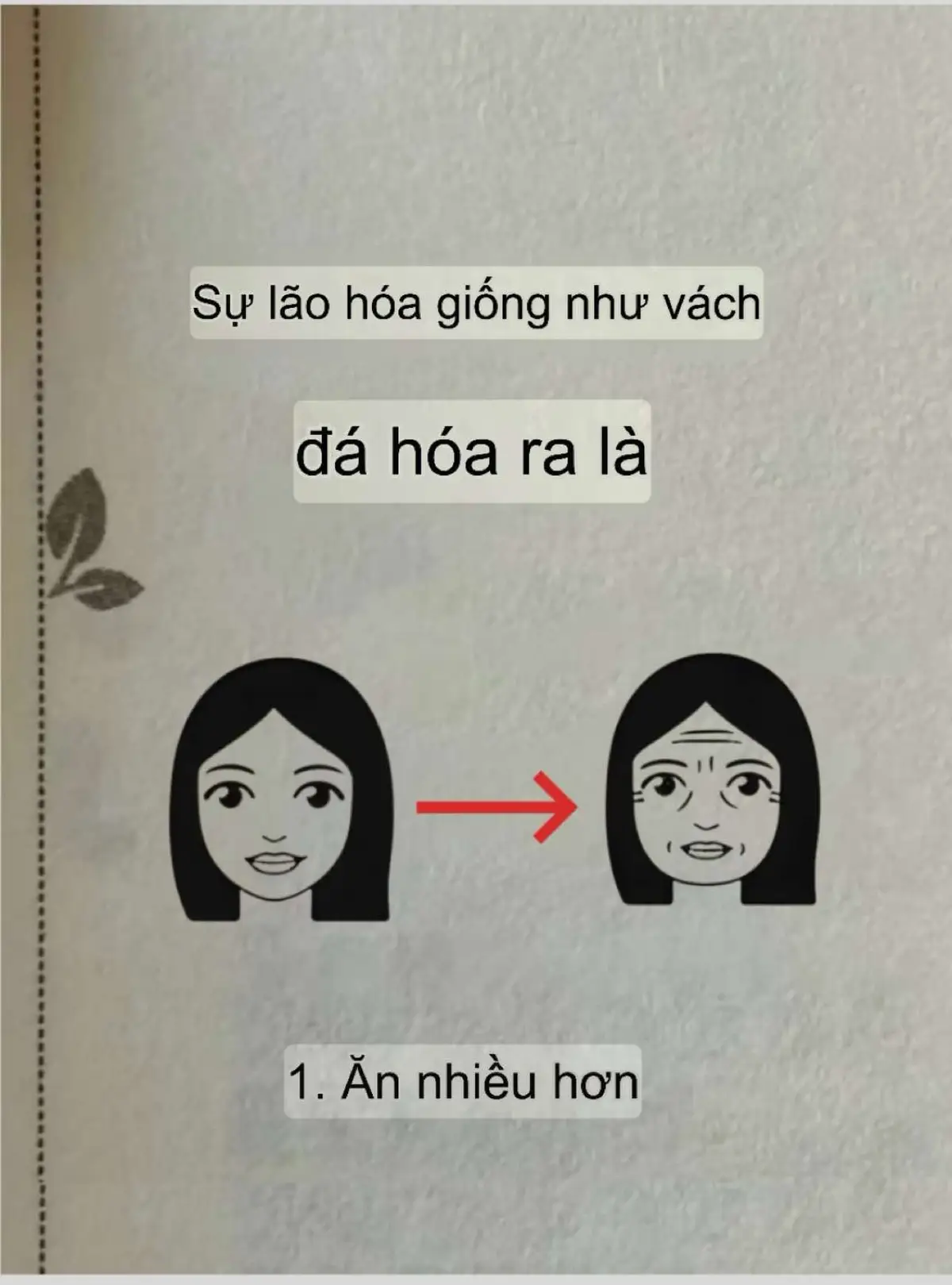 Phụ nữ không muốn già đi ở vách đá Hãy làm tốt tám điều này Chị em ơi, có phải chị luôn cảm thấy thời gian thật tàn nhẫn và làn da của phụ nữ đang bị lão hóa nặng nề không? Giống như chỉ qua đêm? Trên thực tế, chỉ cần chúng ta kiên trì thực hiện 8 điều này thì tình trạng lão hóa như vách núi có thể được giải quyết dễ dàng!! #biquyetchamsocda #cachchamscdakho #chamsocda #thunholochanlong #chamsocdamat #chonglaohoa #chamsocdahangthi #kemduongda #duocmypham #serum #thoiquenchamda #cachchamsocdamun #kemchongnang #kienthucchamsocda #myphamchamsocda #thanhphantrongmyphamchamsocda #chaámocdamoingay#kemchongnanghieuqua#skincare#cachchamdamun#collagen#danhon#dadau #cachchamsocdakho#cachchamsocdadau #meochamsocda#cachtrimunhieuqua#chamsocgan #traduongnhan#phunu#duongsinh#chamsoctoc#chamsocgan#chamsoctoc#kinhnguyet#traicaytotchoda#giambeo#traicaygiamcan#duongsinh#thucphamtotchocothe#hangthigiamcan 