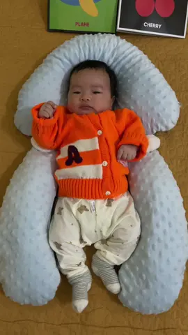 Chiếc gối chân ái cho con ngủ ngon chơi ngoan 🥰 #consamdaya #rivew #mebimsua #goichuuchobe #goichuuchobesosinh 