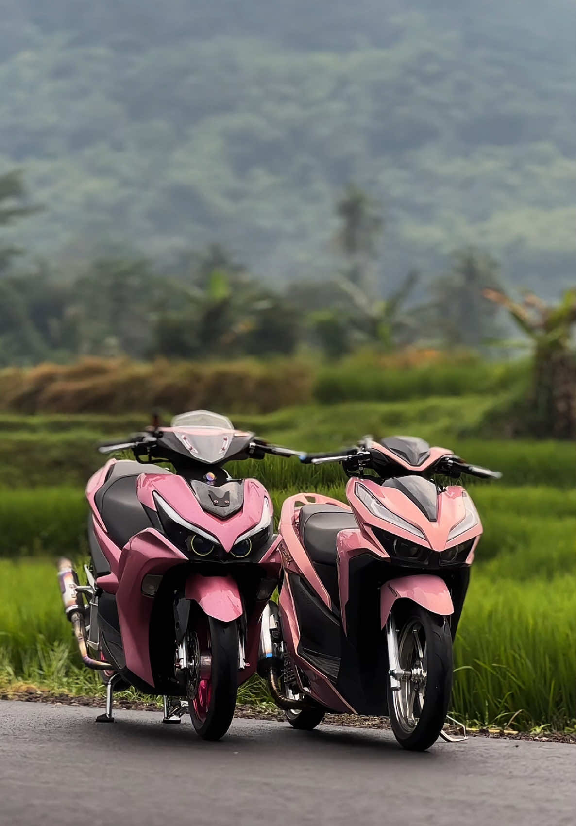 vanyaa dan kanyaa😍🩷 #aerox #aerox155 #vario #variomodifikasi #fyp 