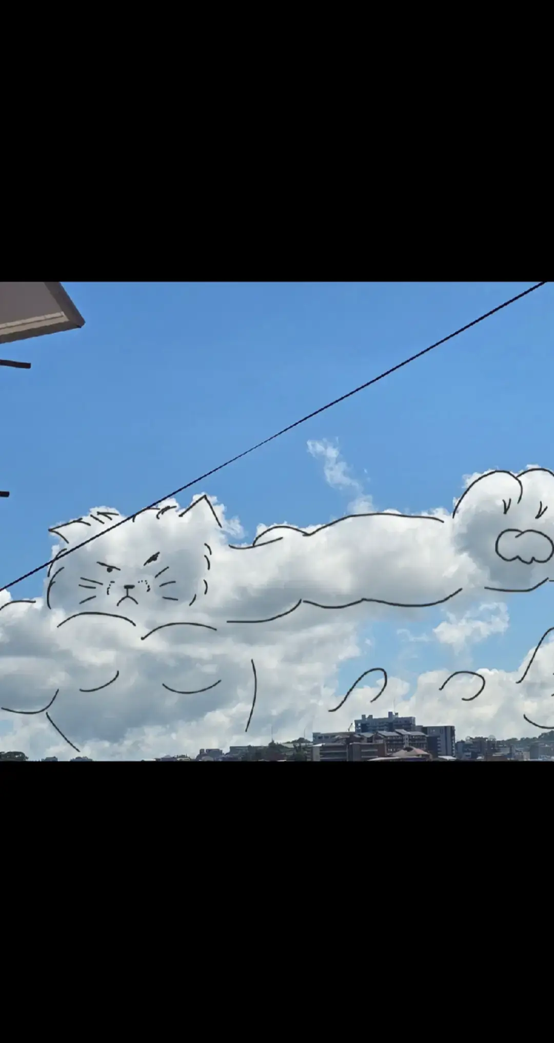 It's been awhile!!!! 🤣 #paredolia #clouds #cats 