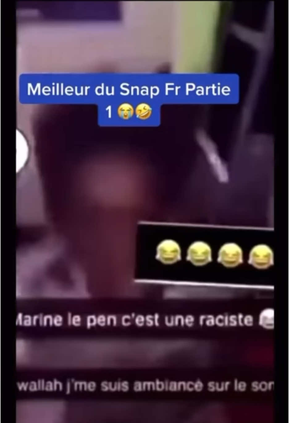 Marine le pen c’est une raciste 🤣🤣 #fyp #tiktok #france #snap #snapfr #humour #funny #politics #rn 