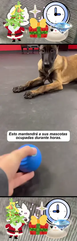 ¡¡¡Esto mantendrá a tus mascotas ocupadas durante horas!!! #TikTokShop #tiktokshopblackfriday #tiktokshopcybermonday