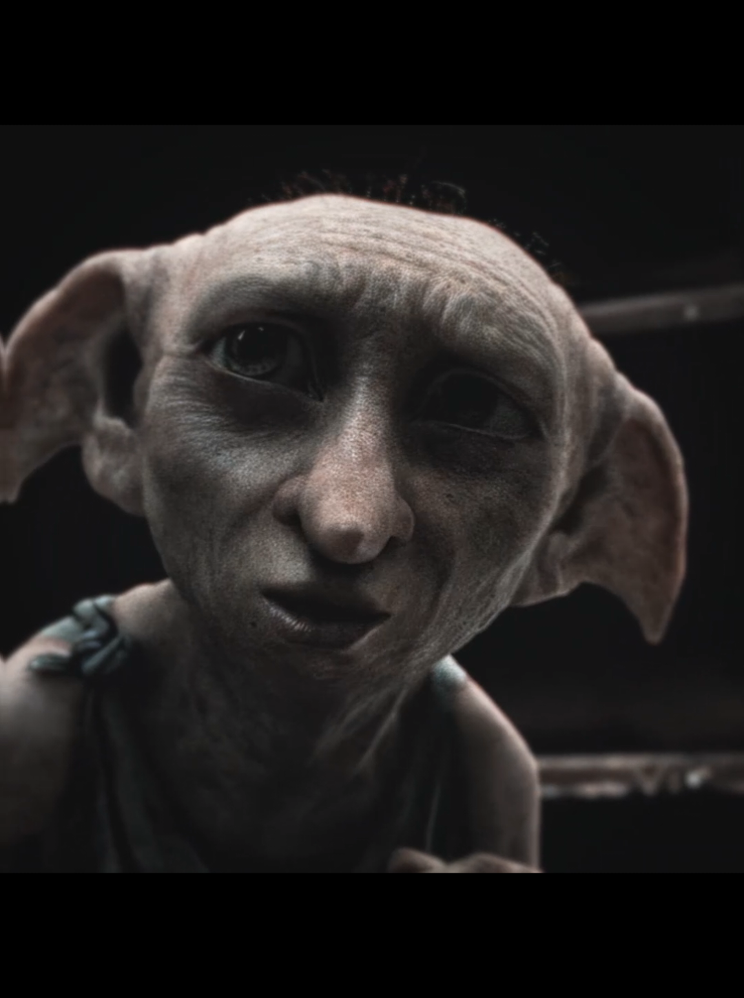 Without Dobby they wouldn't have won... #harrypotter #dobby #elf #voldemort #tomriddle #hermionegranger #emmawatson #danielradcliffe #hogwarts #edit #viraledit #aftereffects #fyp #battle 